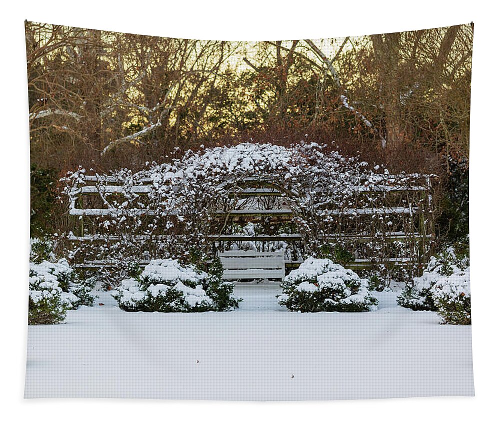 Colonial Williamsburg Tapestry featuring the photograph Trellis in the Snow by Lara Morrison