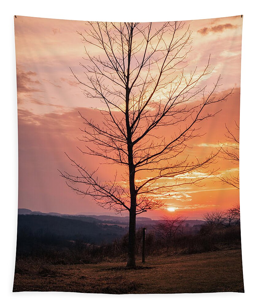 Sunset Tapestry featuring the photograph Trexler Nature Preserve March Sunset Vertical by Jason Fink
