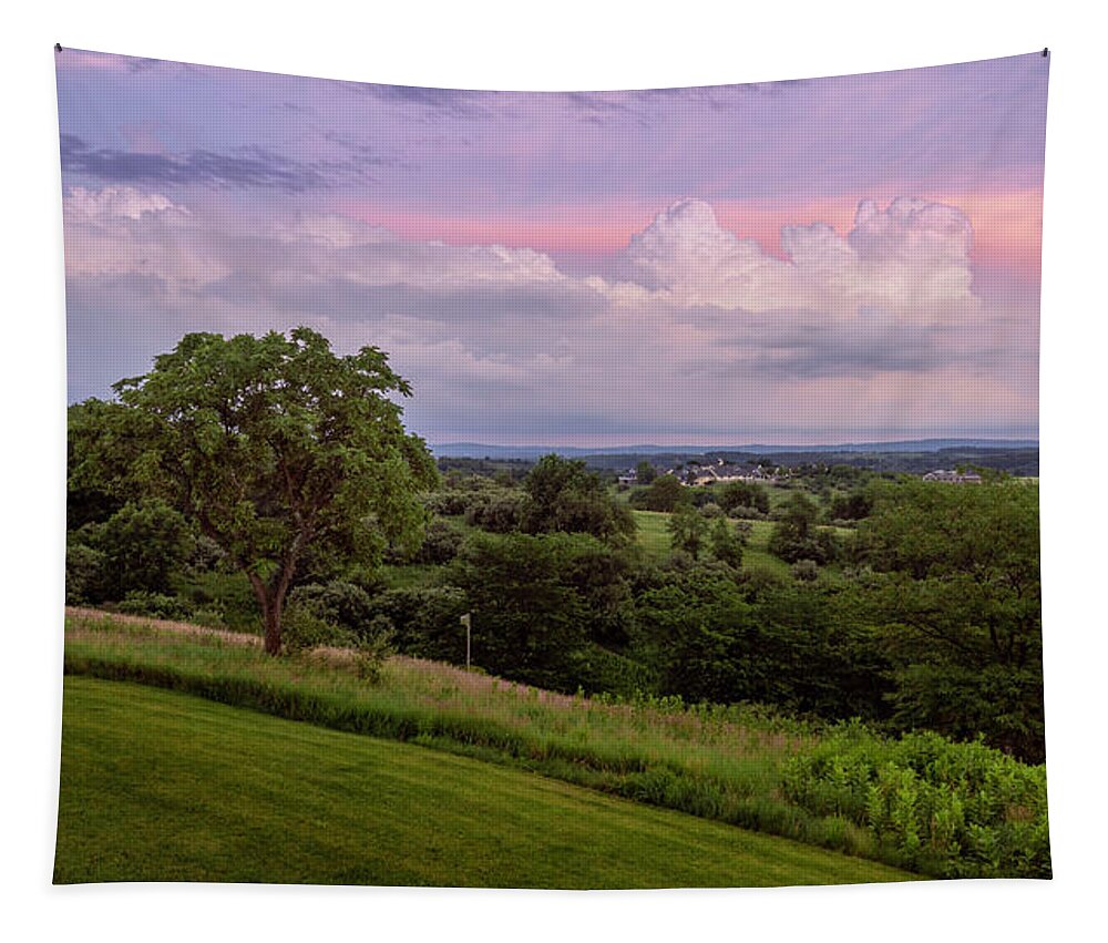 Trexler Tapestry featuring the photograph Trexler Nature Preserve Southern View by Jason Fink