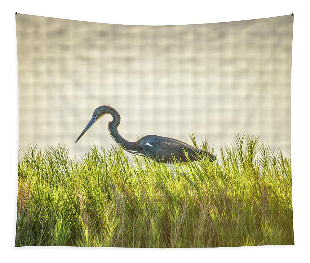Tricolored Tapestry featuring the photograph Tricolored and Saltgrass by Christopher Rice