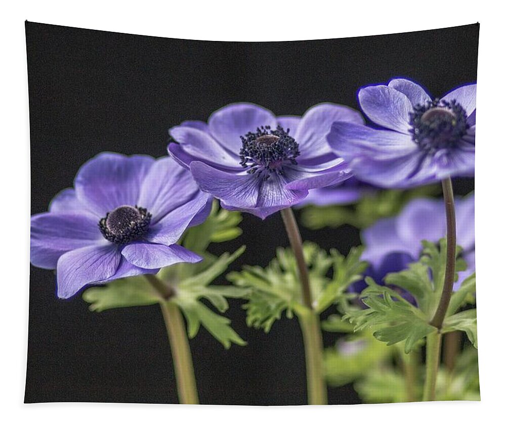 Floral Tapestry featuring the photograph Trio of Purple Anemone by E Faithe Lester