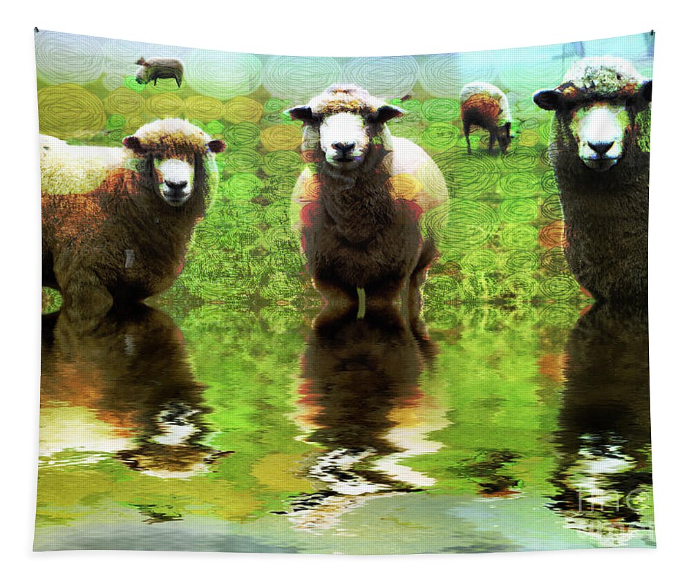 Et66 Faa Competition Entry Tapestry featuring the photograph Triple Sheep Edit This 66 by Jack Torcello
