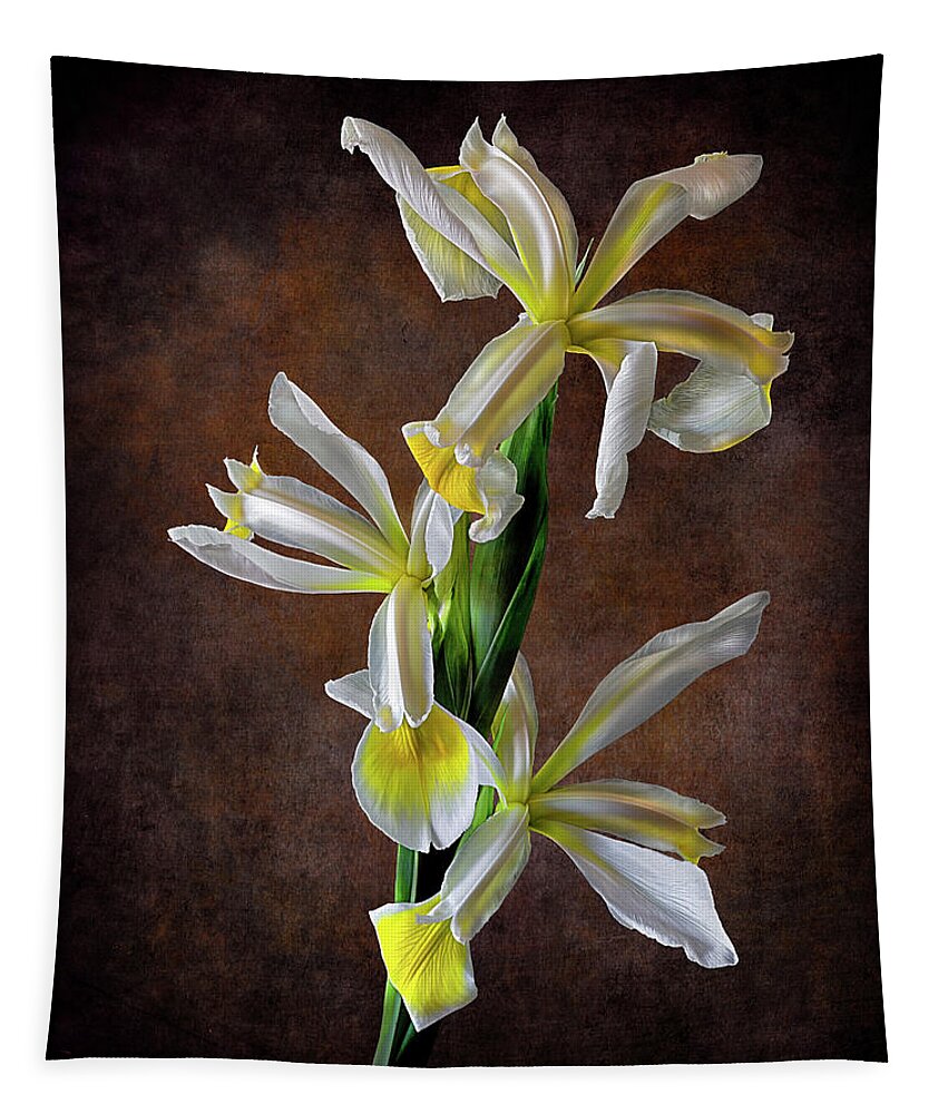 Triple White Irises Tapestry featuring the photograph Triple White Irises by Endre Balogh