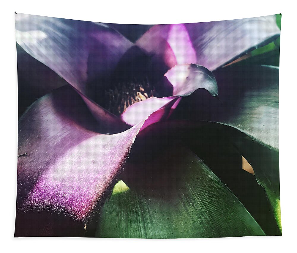 Tapestry featuring the photograph Tropical by Michelle Hoffmann