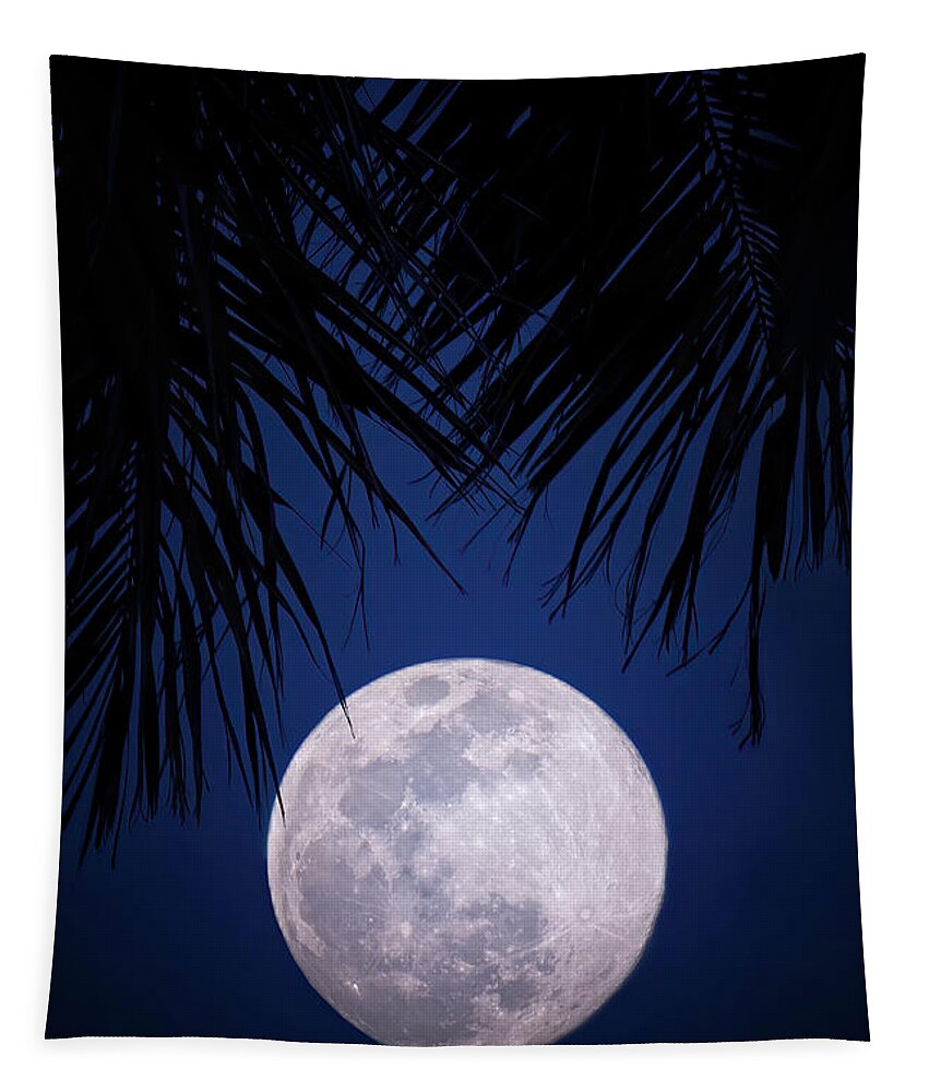 Moon Tapestry featuring the photograph Tropical Moonglow by Mark Andrew Thomas