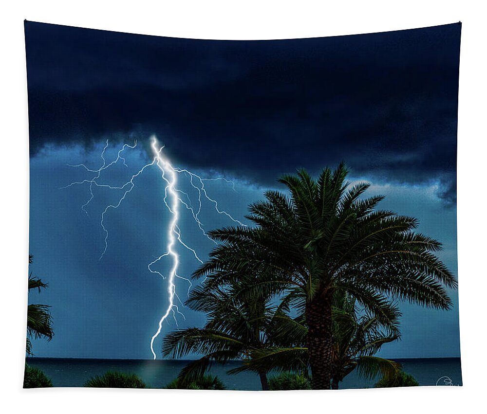 Susan Molnar Tapestry featuring the photograph Tropical Thunderstorm by Susan Molnar