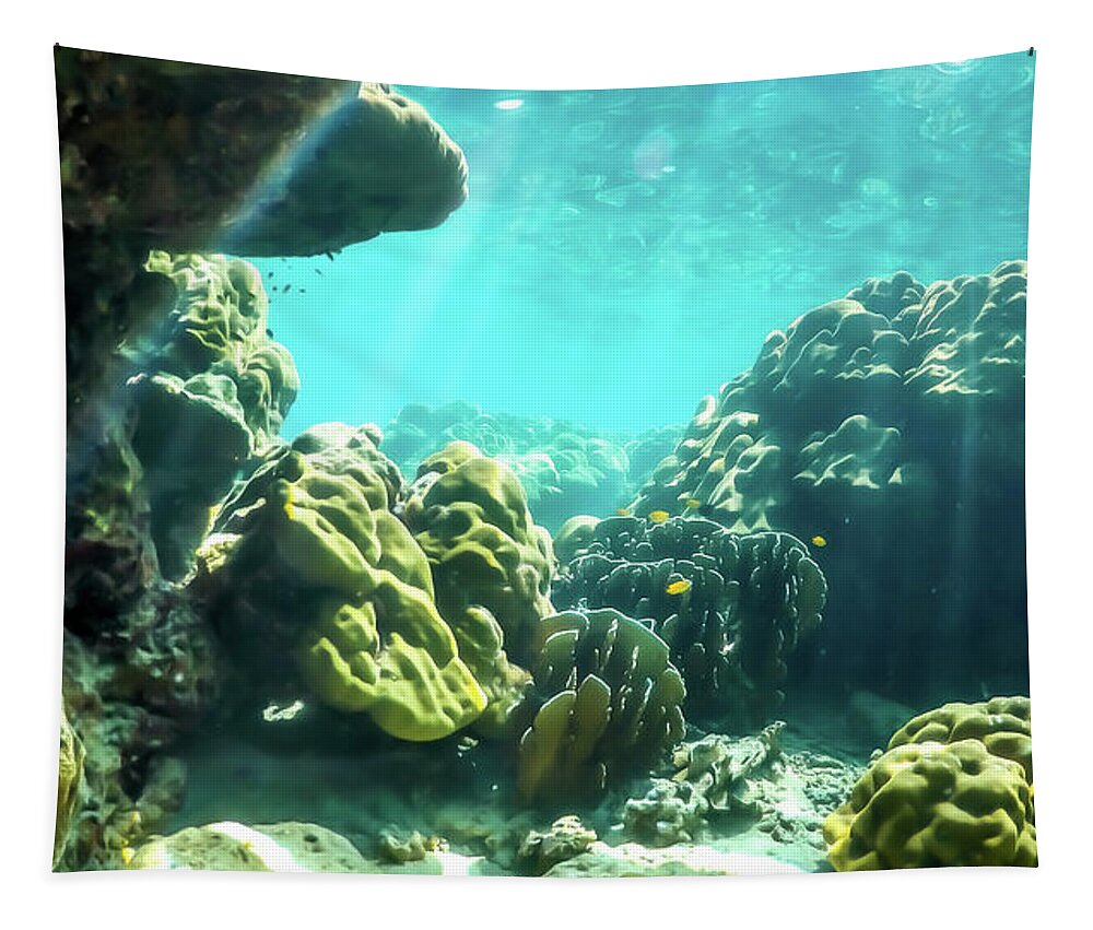 Underwater Tapestry featuring the photograph Tropical Underwater Scene by Nicklas Gustafsson