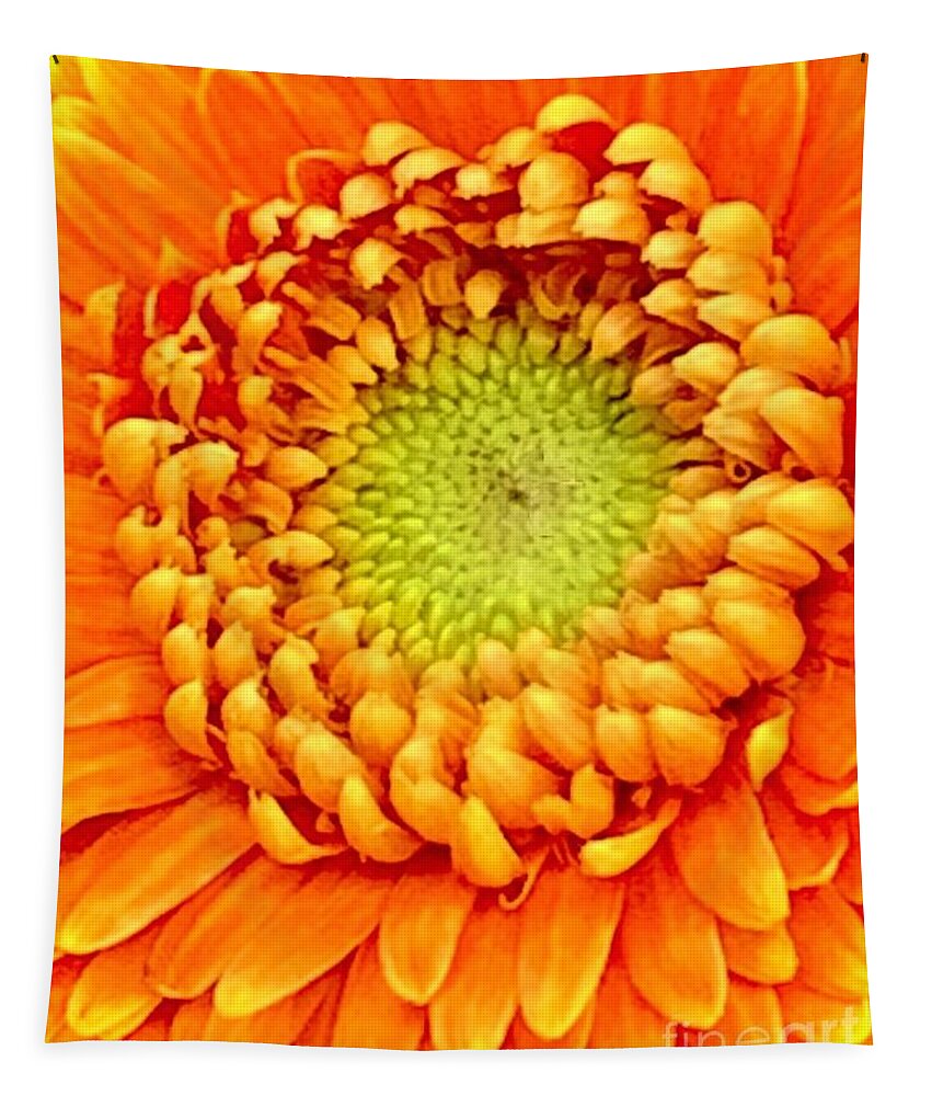 Daisy Tapestry featuring the photograph Tuesdays With Saint Anthony- The Gerbera Daisy by Tiesa Wesen