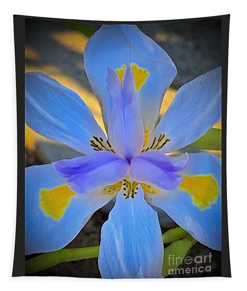 Flower Tapestry featuring the photograph Dietes Grandiflora. The Fortnight Lily Known As The Wild Iris by Tiesa Wesen