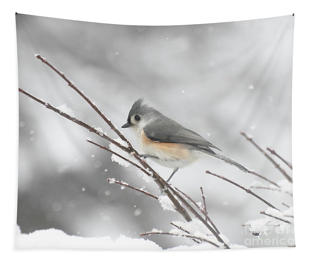 Tufted Titmouse Tapestry featuring the photograph Tufted Titmouse on a Winter Day by Kerri Farley