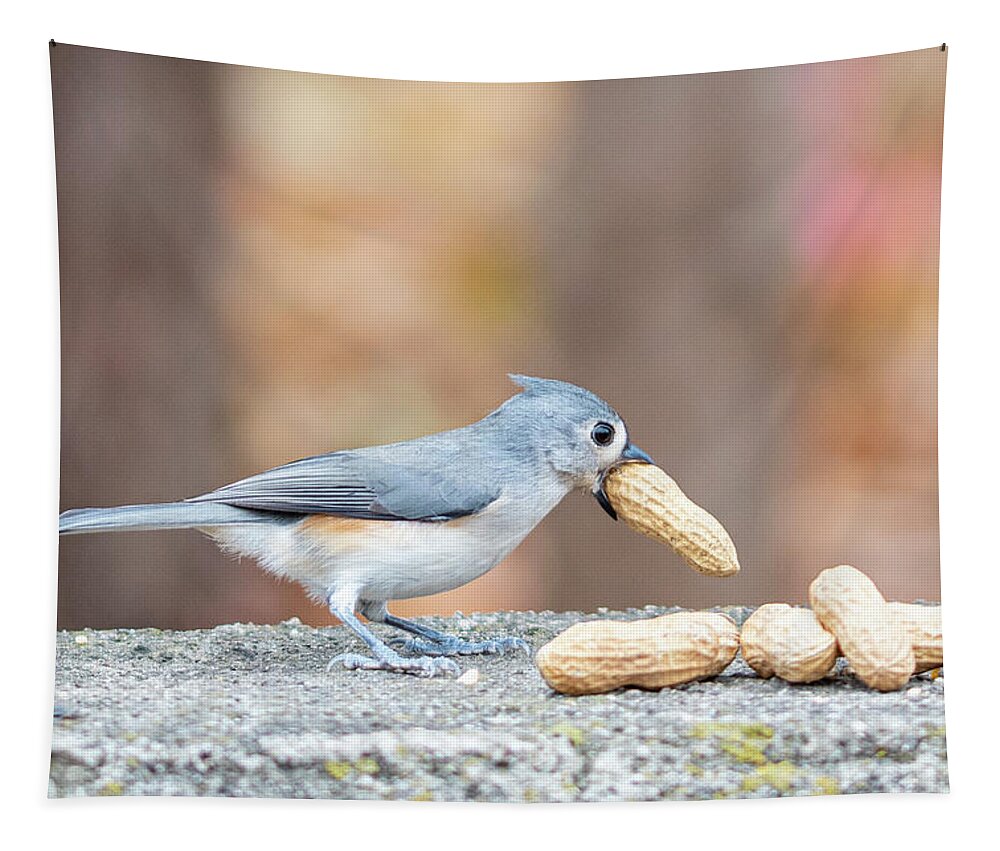 Little Gray Bird Tapestry featuring the photograph Tufted Titmouse with Peanut in Mouth by Ilene Hoffman