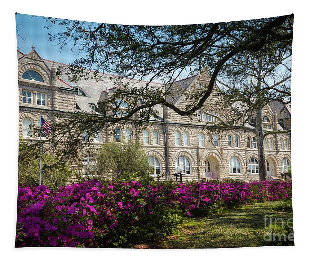 Louisiana Tapestry featuring the photograph Tulane University by Agnes Caruso