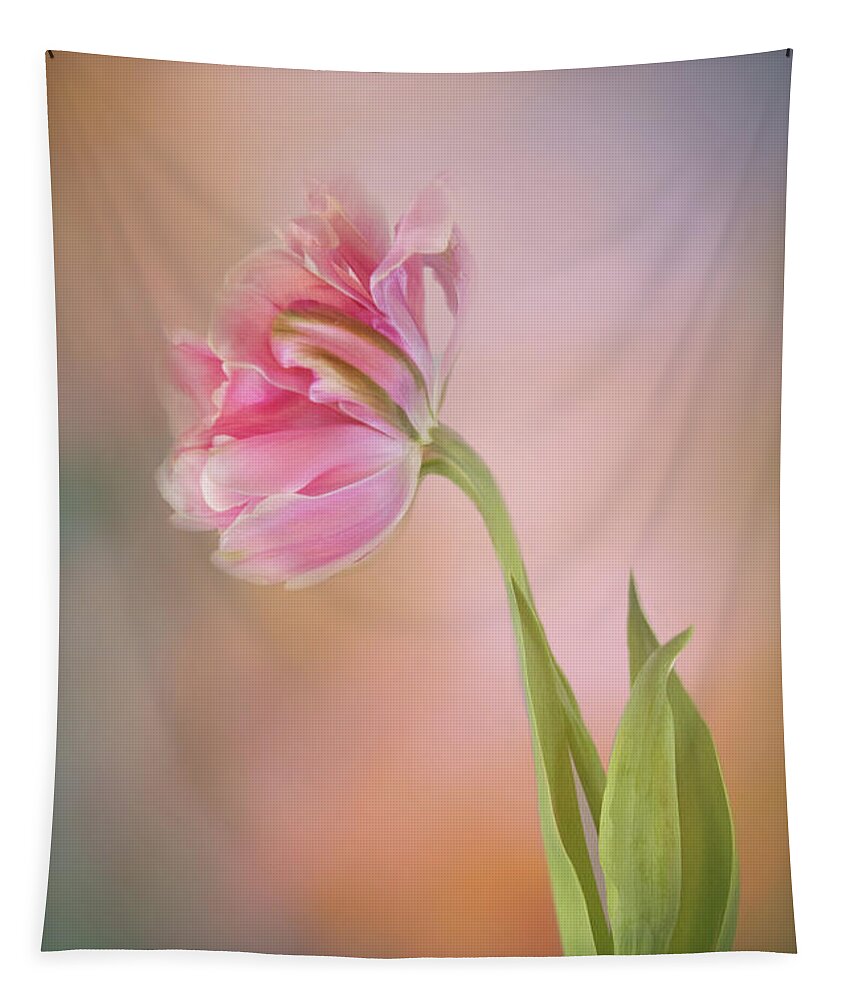 Photography Tapestry featuring the digital art Tulip Beauty by Terry Davis