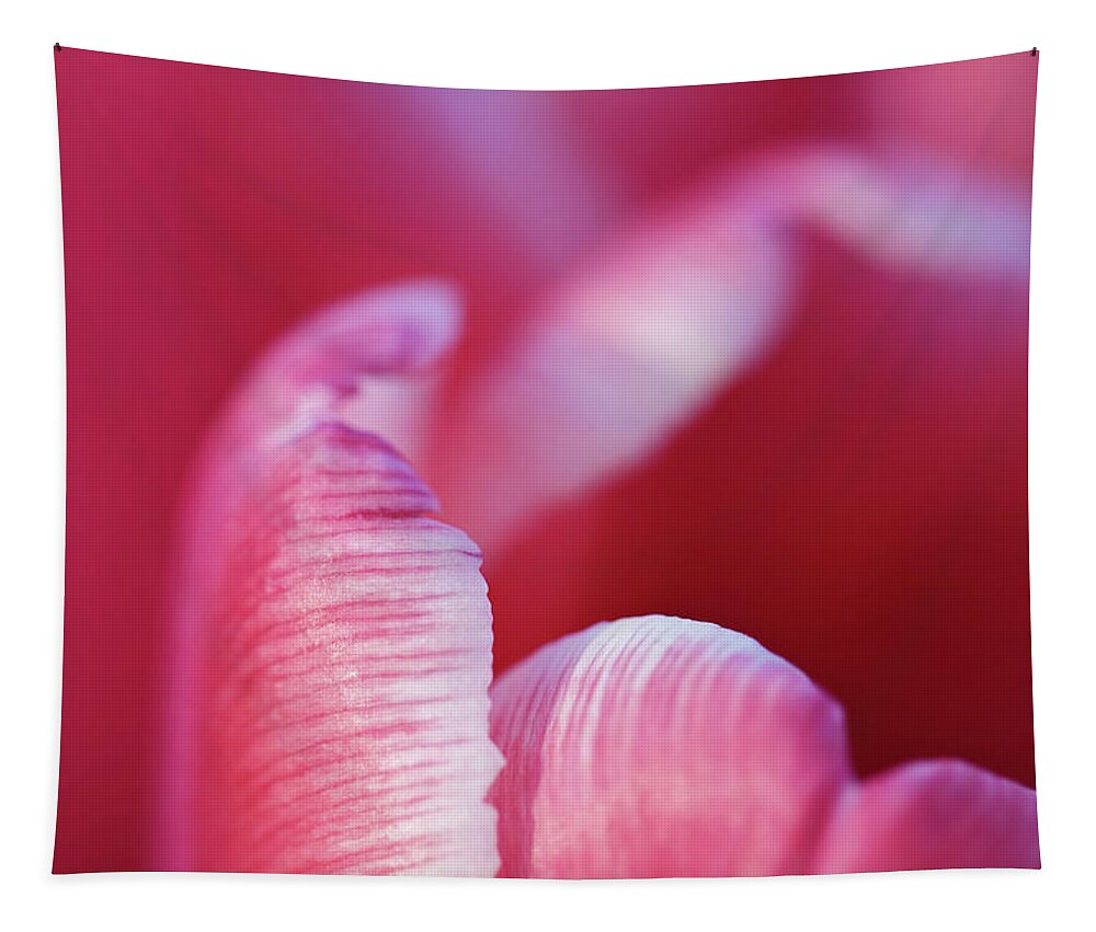 Pink Tapestry featuring the photograph Tulip Detail by Maria Meester
