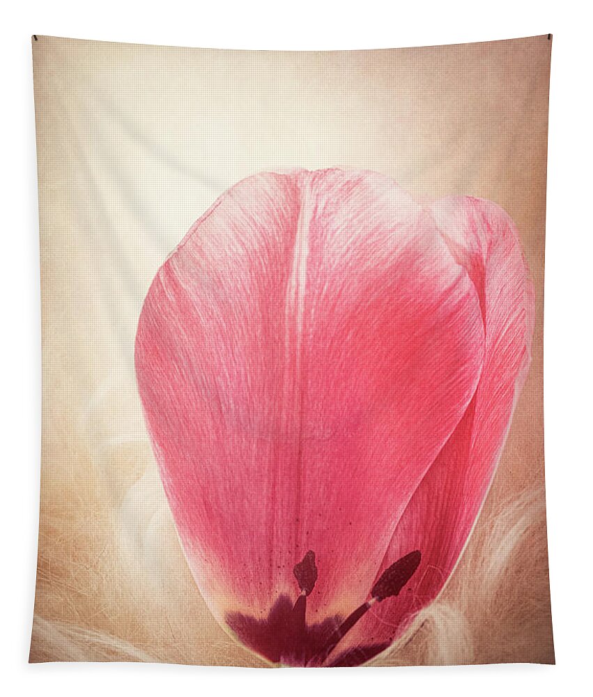 Petal Tapestry featuring the photograph Tulip Petal by Philippe Sainte-Laudy