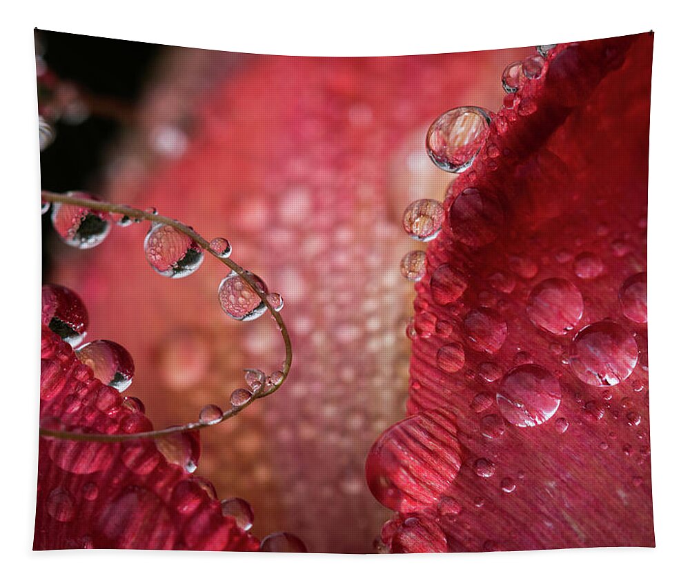 April Tapestry featuring the photograph Tulip Petals in the Mist by Robert Potts