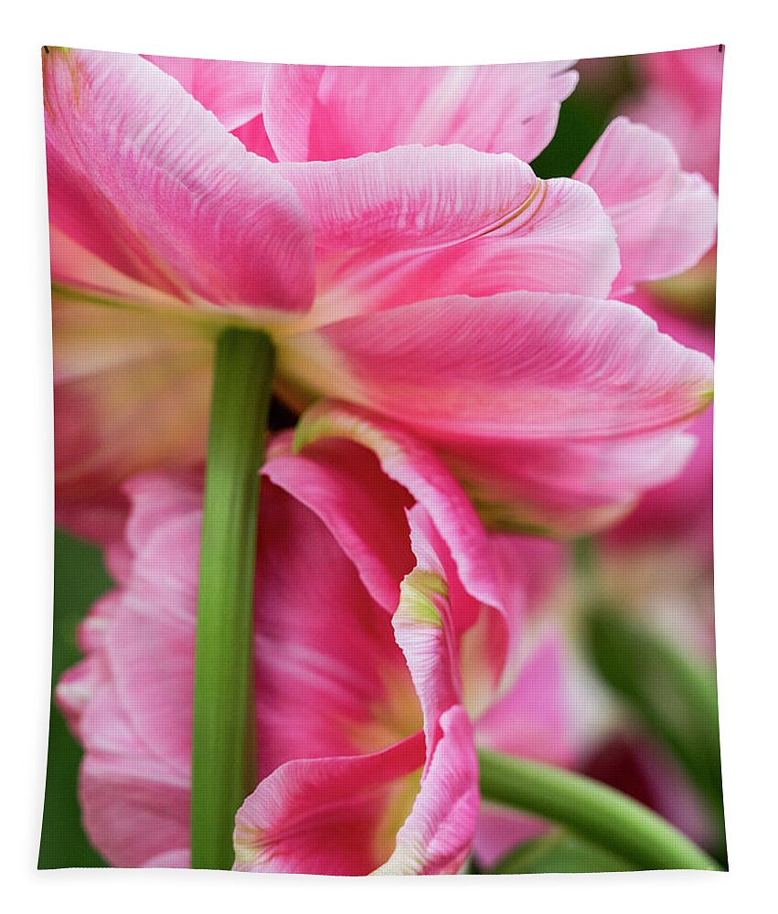 Agricultural Tapestry featuring the photograph Tulip Togetherness by Eggers Photography