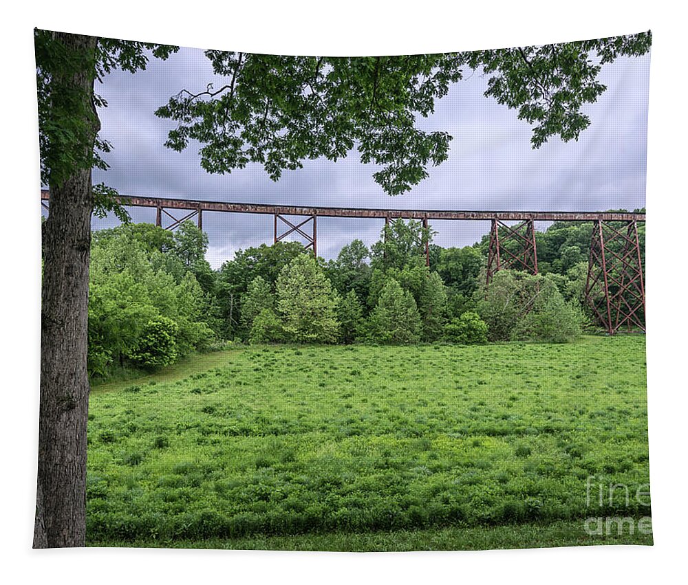 Tulip Trestle Tapestry featuring the photograph Tulip Trestle Summer Storm - Bloomfield - Indiana by Gary Whitton