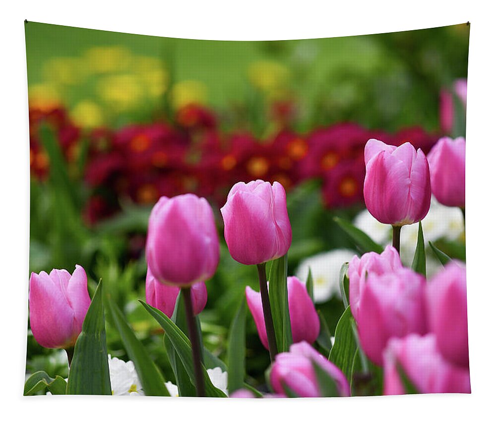 Tulips Tapestry featuring the photograph Tulips blooming in the spring sunshine by Andrew Lalchan
