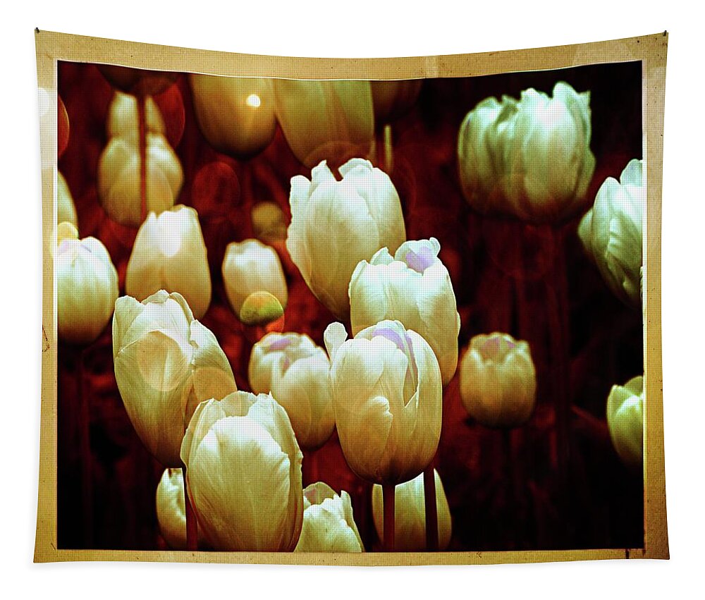 Tulips Tapestry featuring the photograph Tulips Garden Hibster by Michelle Liebenberg