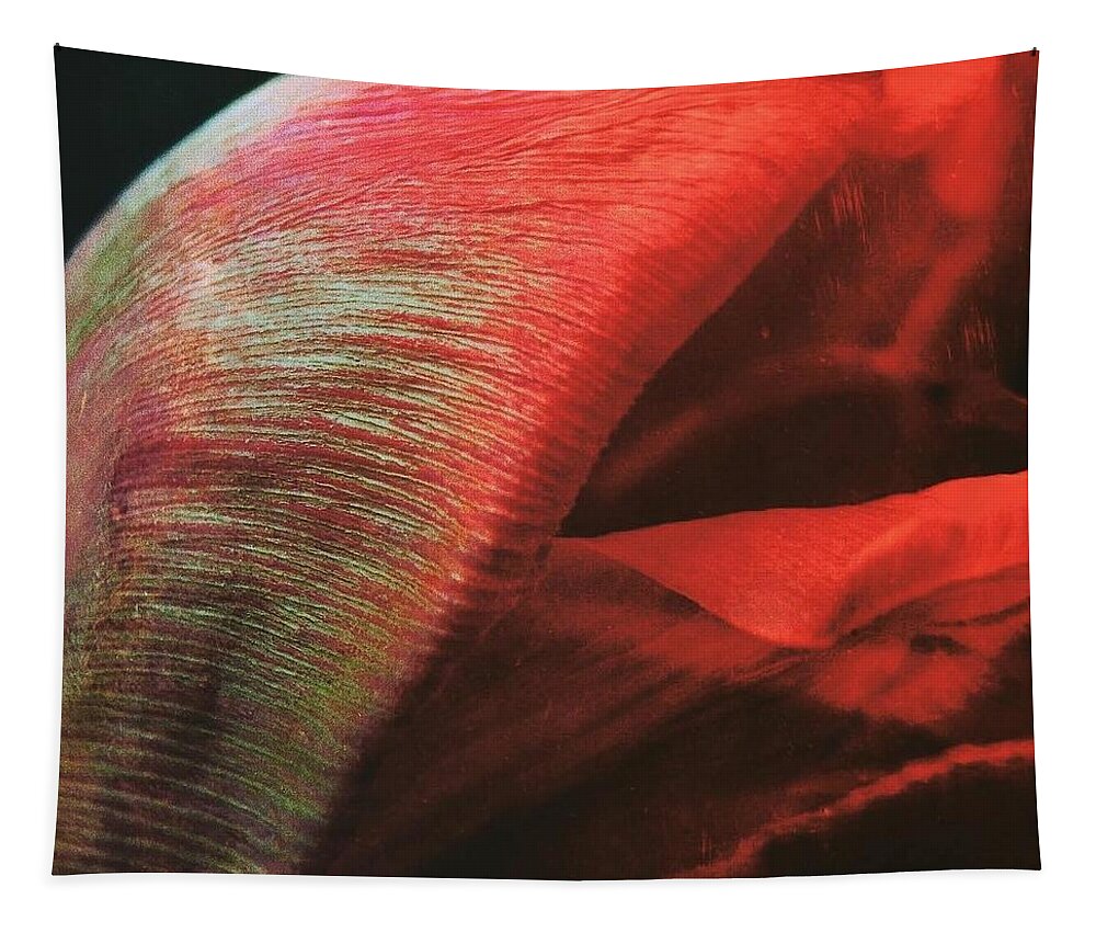 Tulips Kiss Tapestry featuring the photograph Tulips Kiss by Jennifer Preston
