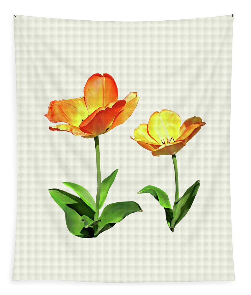 Tulip Tapestry featuring the photograph Tulips Tall and Short by Susan Savad