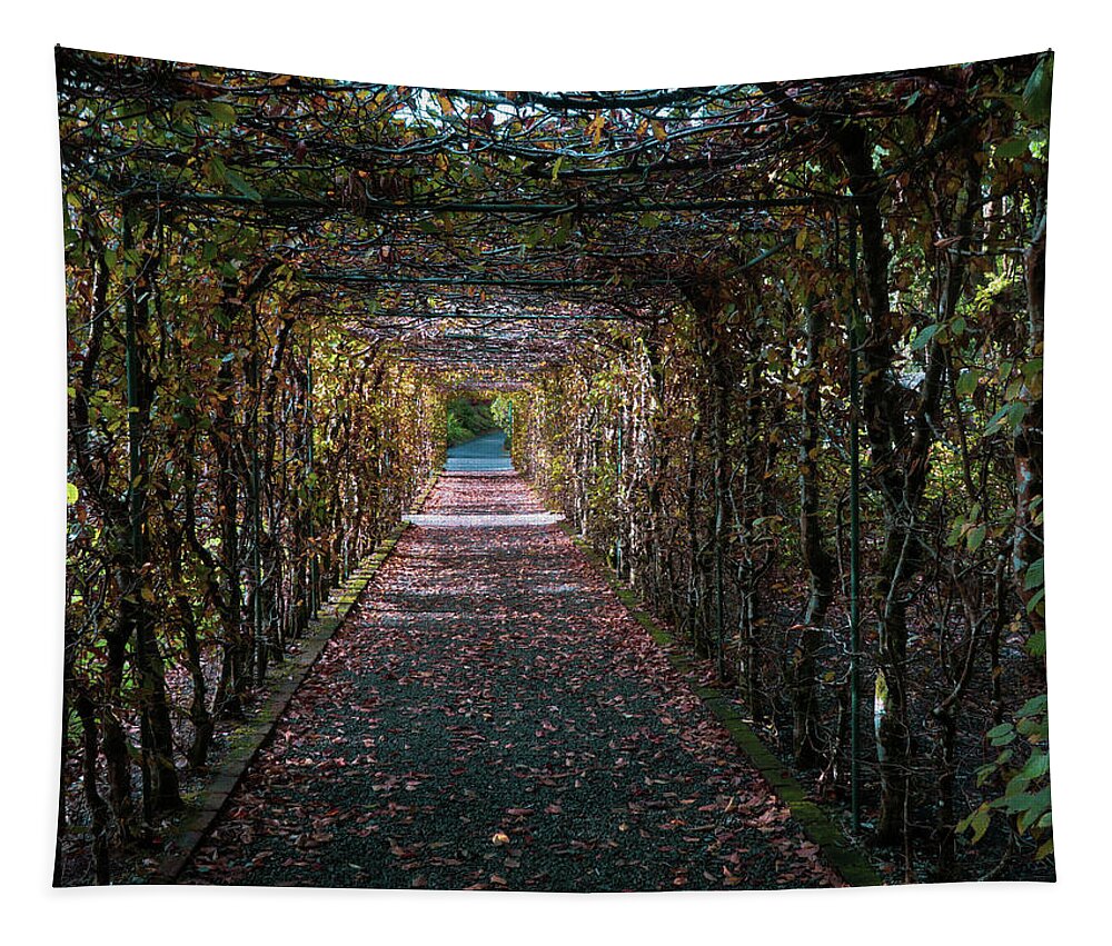 Tunnelingvines Tapestry featuring the photograph Tunneling Vines by Vicky Edgerly