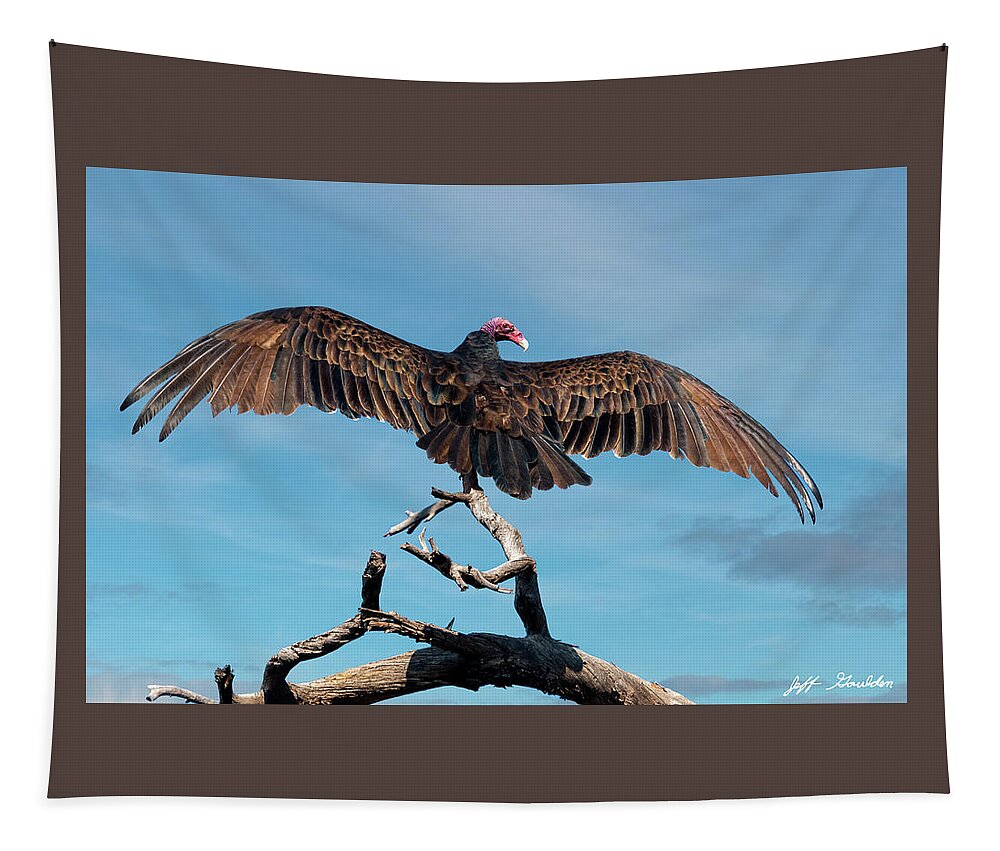 Adult Tapestry featuring the photograph Turkey Vulture Perched in a Dead Tree by Jeff Goulden