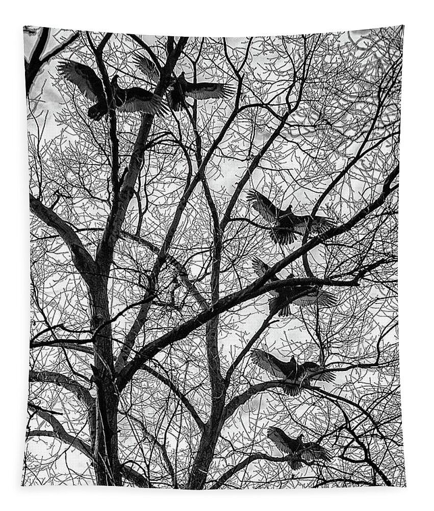 Birds Tapestry featuring the photograph Turkey Vultures Photography by Louis Dallara