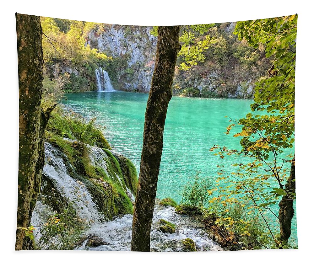 Plitvice Lakes Tapestry featuring the photograph Turquoise Beauty In The Woods by Yvonne Jasinski