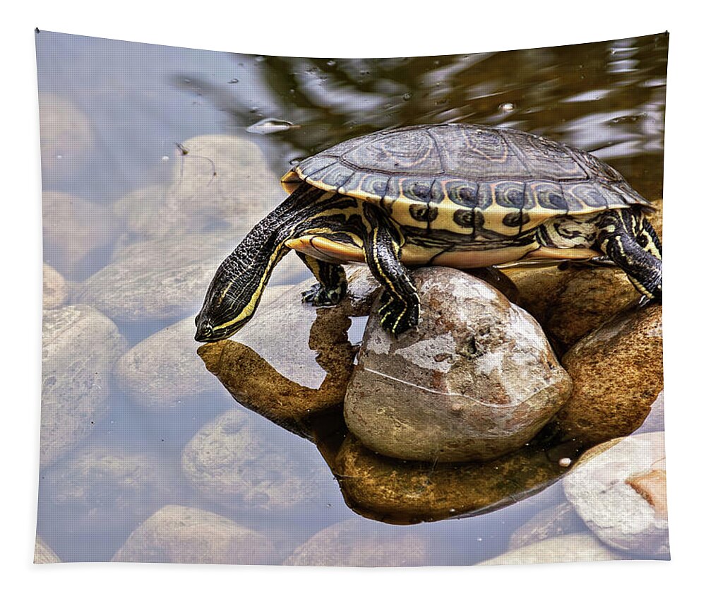Turtle Tapestry featuring the photograph Turtle drinking water by Tatiana Travelways