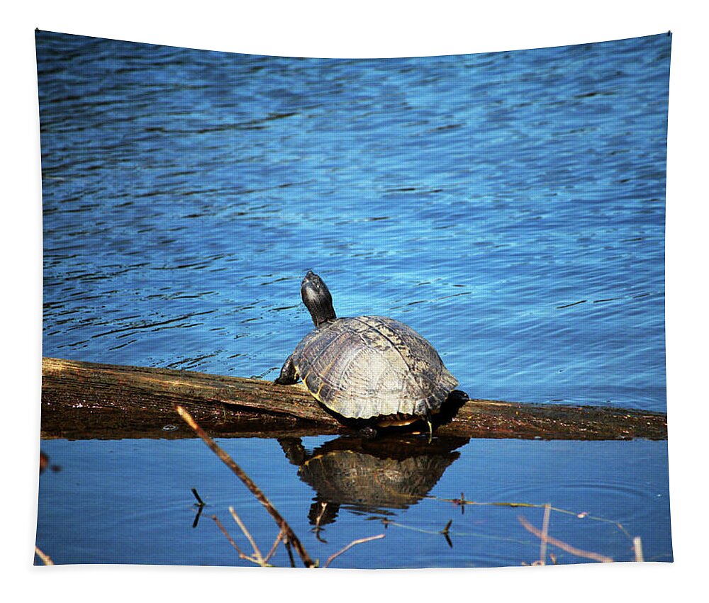 Turtle Tapestry featuring the photograph Turtle Reflection by Cynthia Guinn