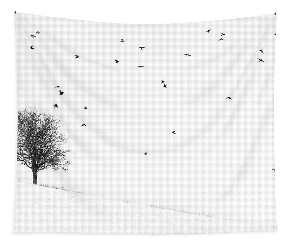 Trees In Winter Tapestry featuring the photograph Twenty Seven Birds by Janet Burdon
