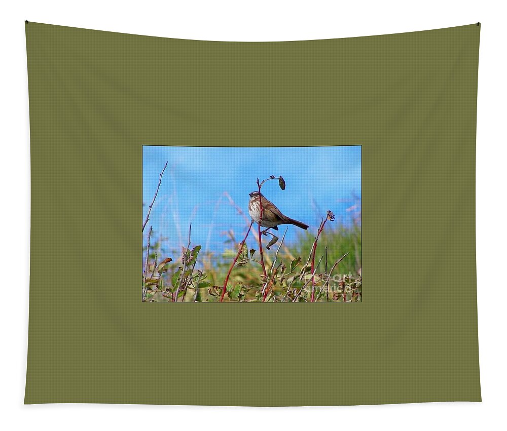 Birds Tapestry featuring the photograph Twiggy Bird by Kimberly Furey