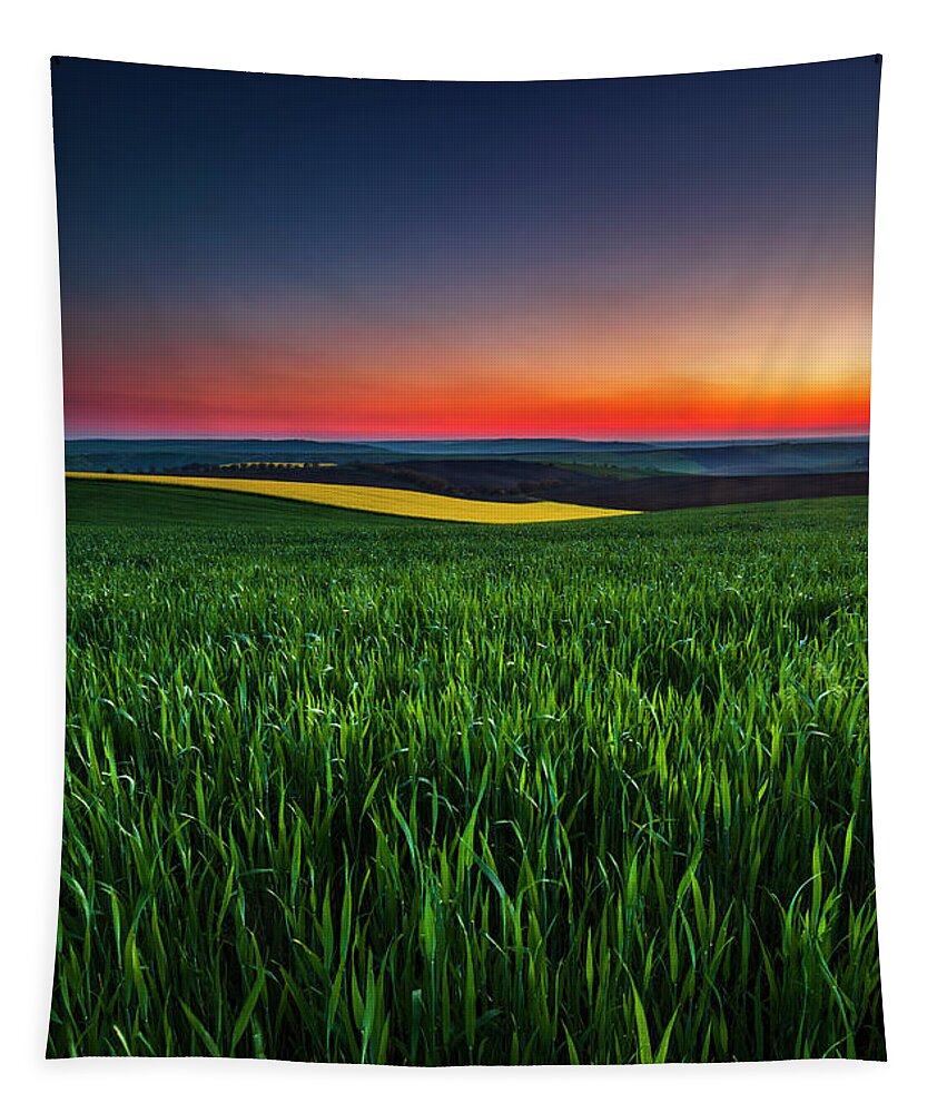 Dusk Tapestry featuring the photograph Twilight Fields by Evgeni Dinev