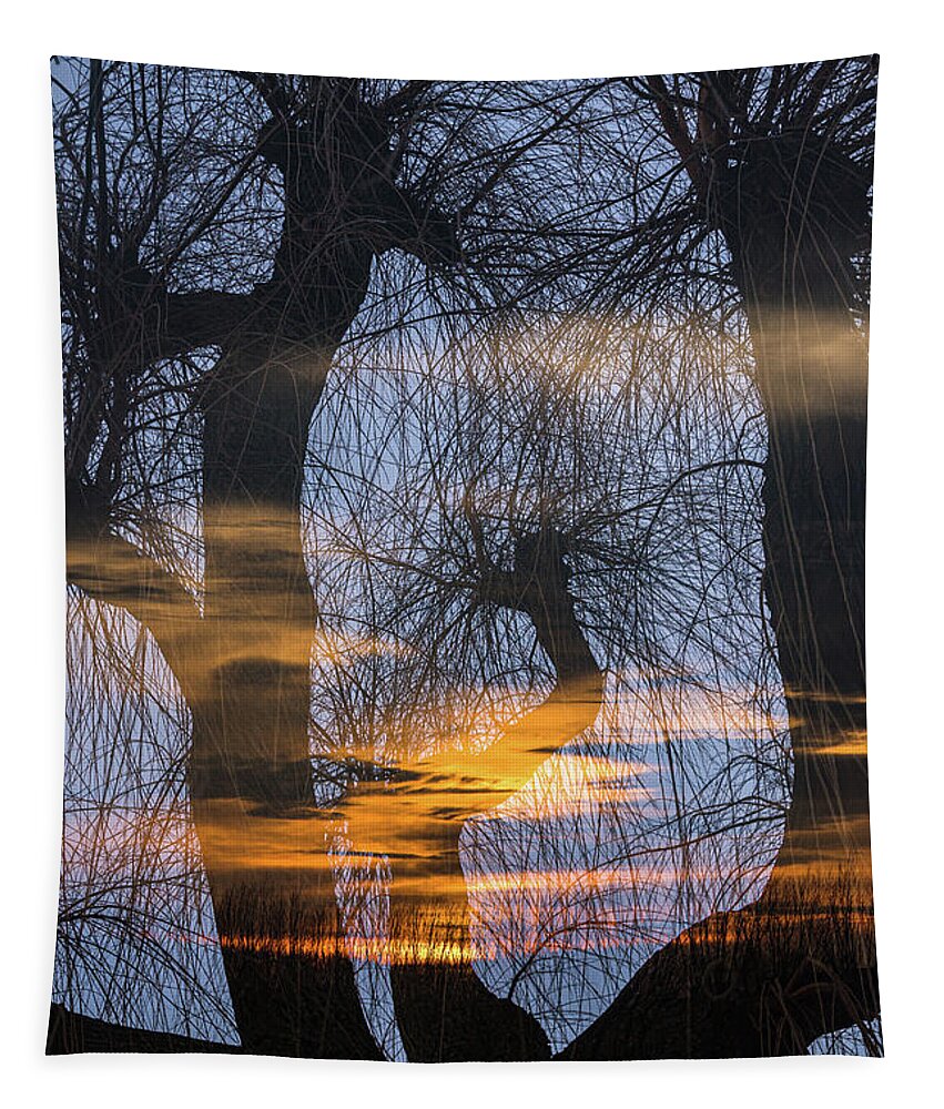 Netherlands Tapestry featuring the photograph Twilight zone in the magic forest by Casper Cammeraat