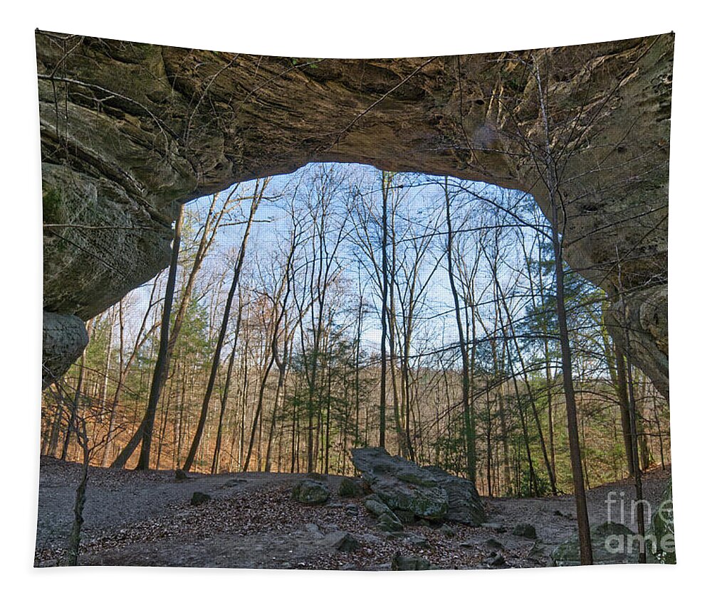 Nature Tapestry featuring the photograph Twin Arches 9 by Phil Perkins