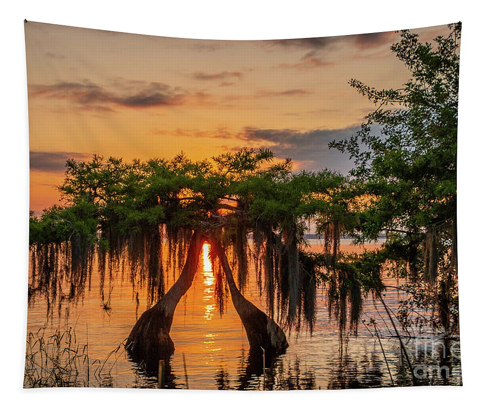 Sun Tapestry featuring the photograph Twin Cypress Sunrise by Tom Claud