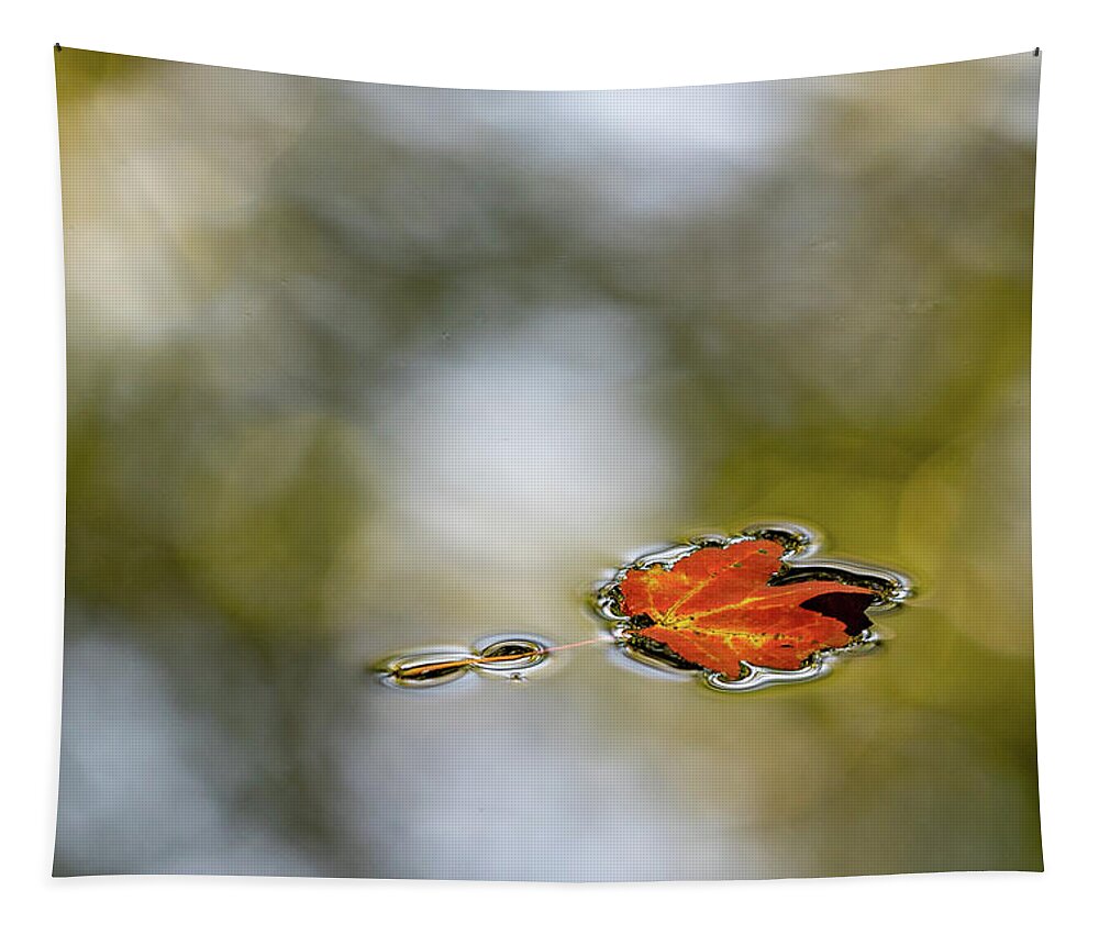 Autumn Tapestry featuring the photograph Twin Lakes Gold by Kevin Suttlehan