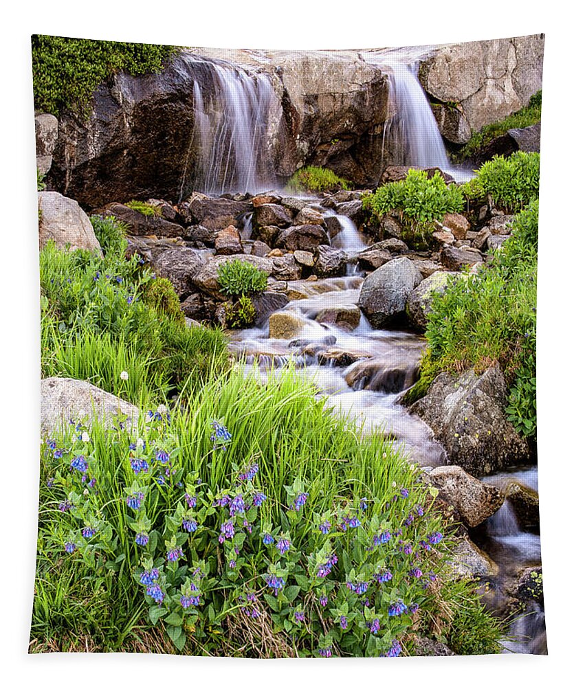 Waterfalls Tapestry featuring the photograph Twin Waterfalls 2 by Aaron Spong
