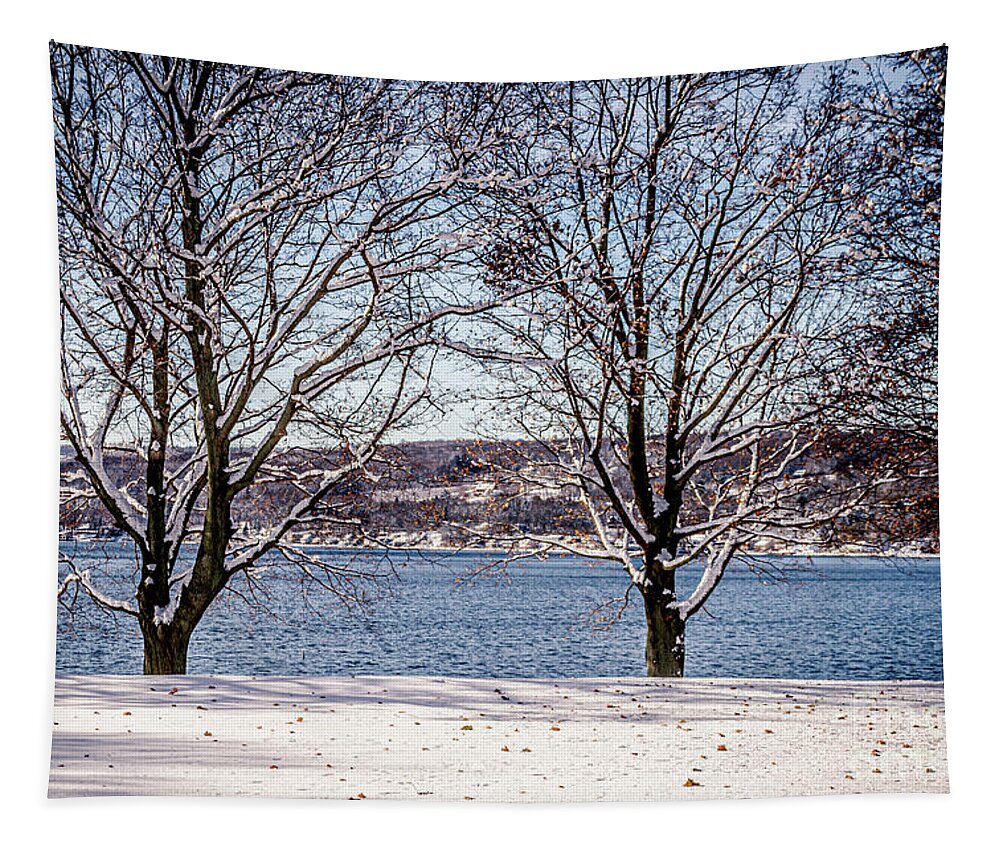 Winter Tapestry featuring the photograph Twin Winter Trees by William Norton