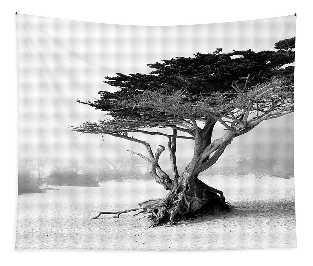 Nature Tapestry featuring the photograph Twisted tree at Carmel-by-the-Sea by Eyes Of CC