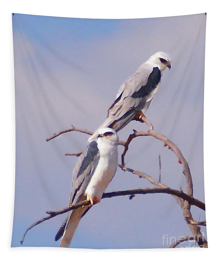 Eagles Tapestry featuring the photograph Two Beautiful Eagles by John Kolenberg