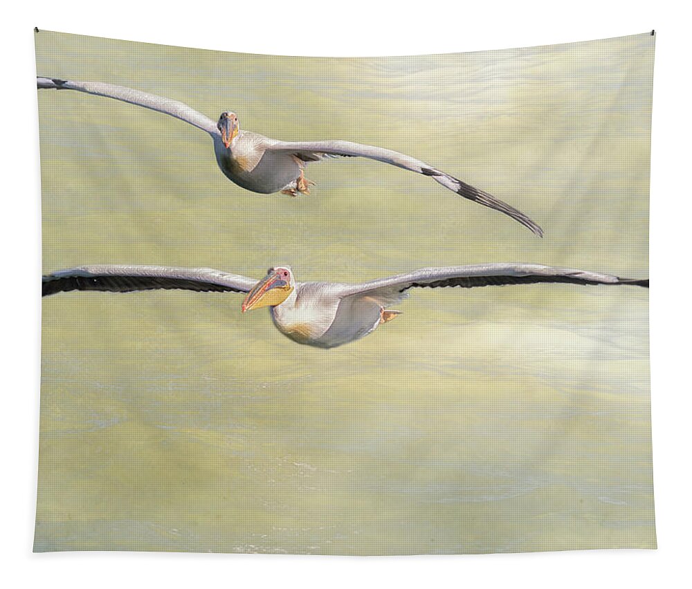 Great White Pelican Tapestry featuring the photograph Two Great White Pelican Flying with texture by Belinda Greb