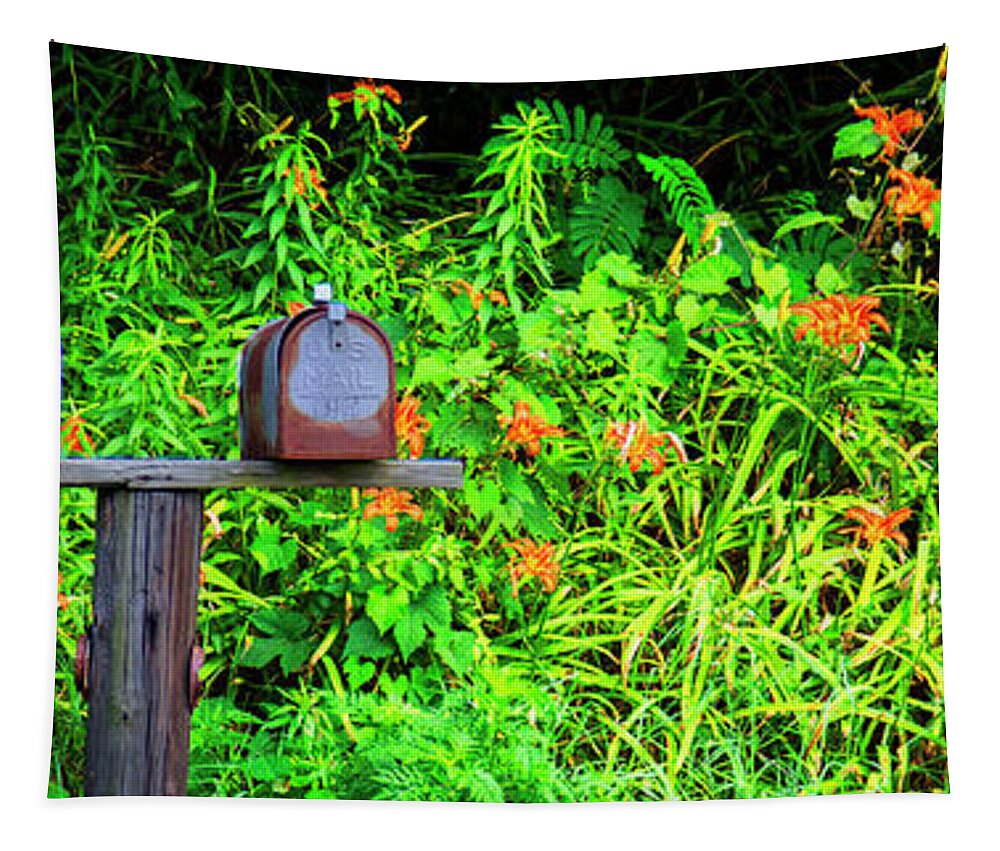 Color Tapestry featuring the photograph Two Mail Boxes by Alan Hausenflock