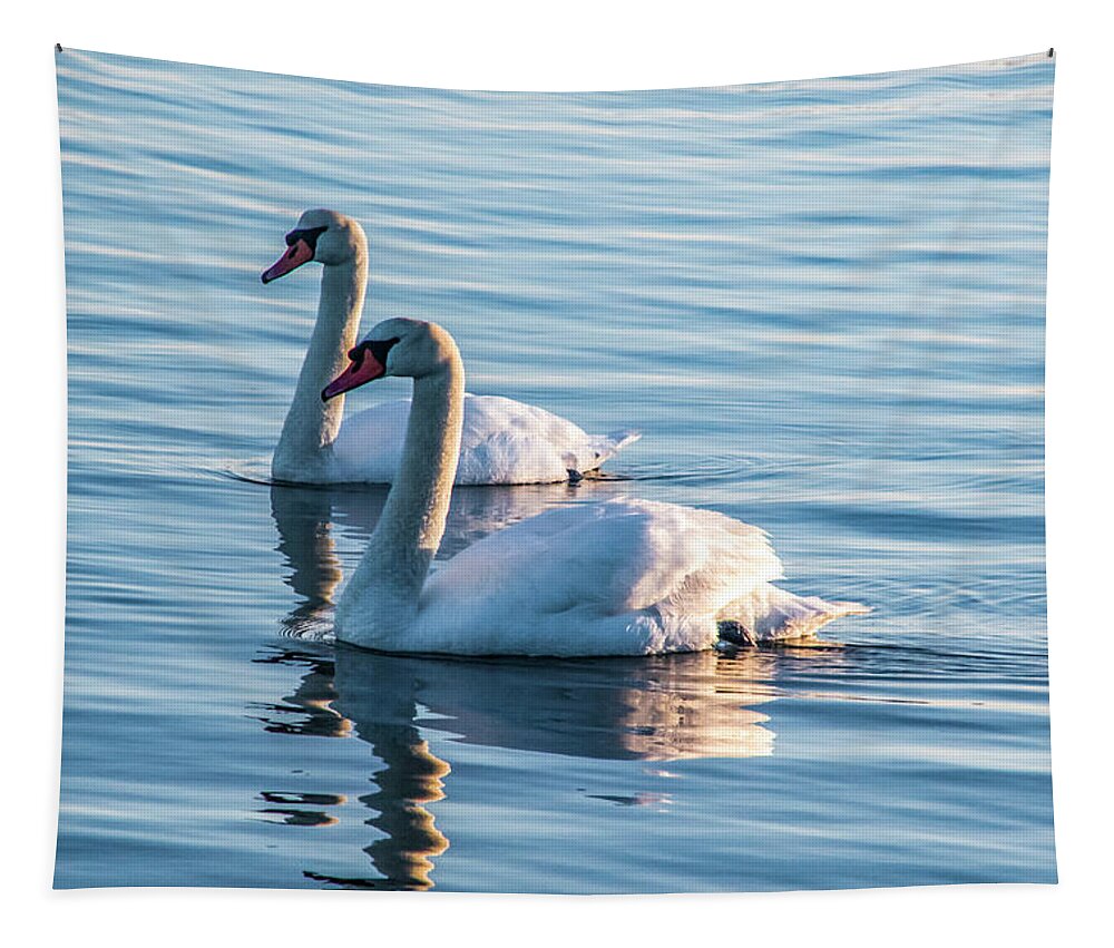 Swan Tapestry featuring the photograph Two Of A Kind by Cathy Kovarik