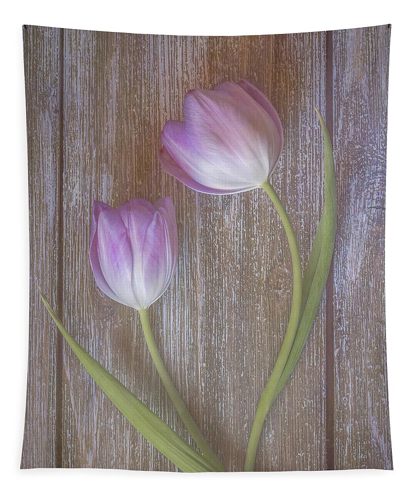 Pink Tulips Tapestry featuring the photograph Two pink tulips by Sylvia Goldkranz