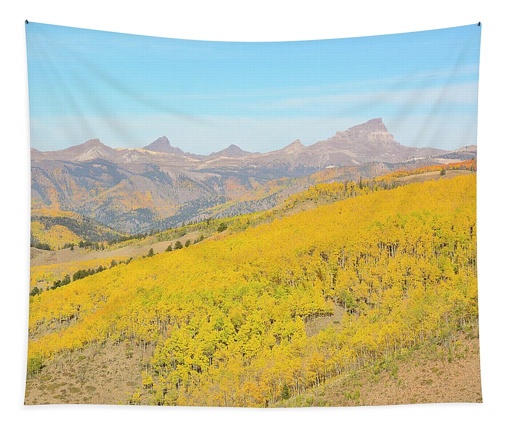 Uncompahgre Tapestry featuring the photograph Uncompahgre Autumn by Aaron Spong