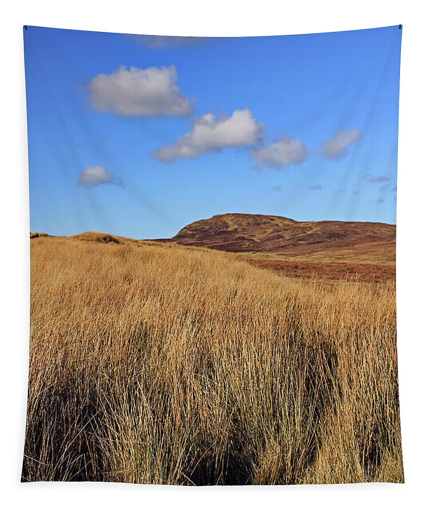 Landscape Tapestry featuring the photograph Under A Donegal Sky by Jennifer Robin