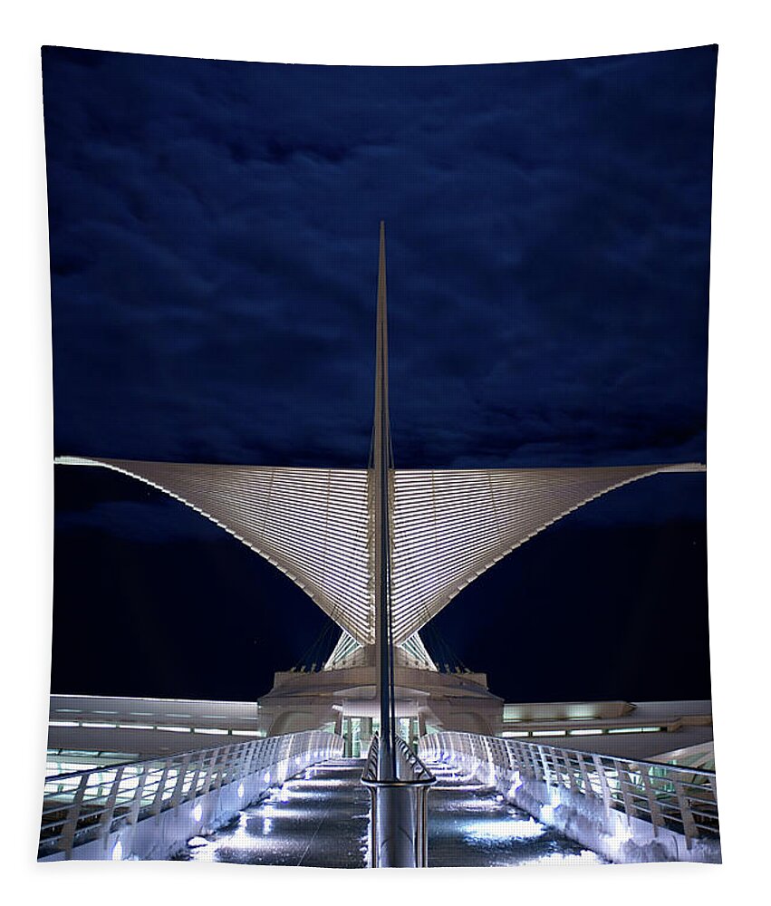 Burke Brise Soleil Tapestry featuring the photograph Under a Full Moon - Vertical by Deb Beausoleil